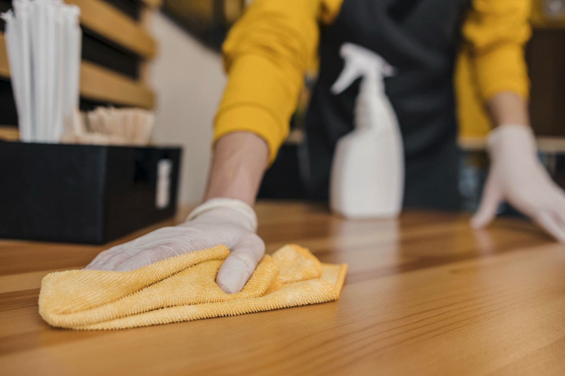 Routine Home Cleaning Services in Atlanta - serving Woodstock, Milton, Duluth, and surrounding areas
